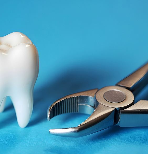 Tooth model next to dental forceps